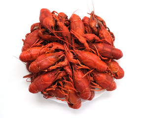 boiled crayfish on white background