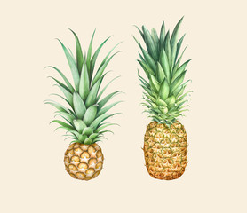 Set of two pineapples isolated on beige background. Watercolor illustration.