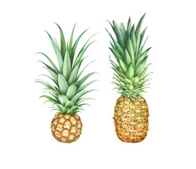 Set of two pineapples isolated on white background. Watercolor illustration.