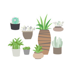  Indoor potted plants and flowers set