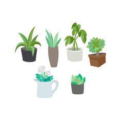 Obraz premium Indoor green potted plants and flowers set