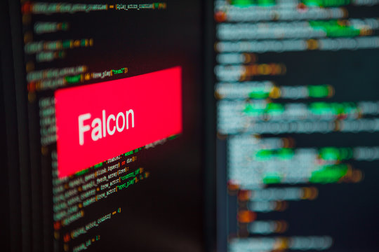Programming language, Falcon inscription on the background of computer code.
