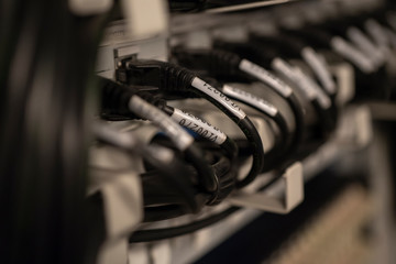 Naklejka premium Network Switch and Ethernet Cables Patched into Local Network and IPTV