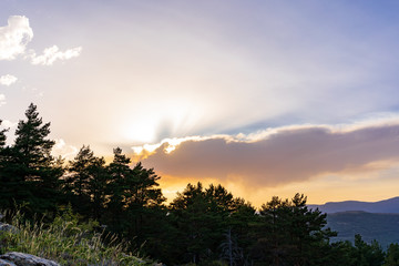 Mountain forest in sunset