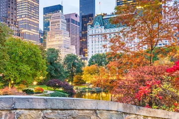 Foto auf Acrylglas Gapstow-Brücke Central Park, New York City Herbst