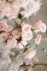 huge beautiful gently pink flowers