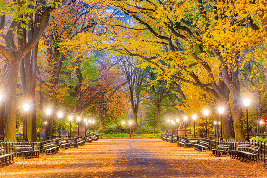 Central Park New York City Autumn