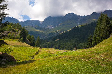 Fototapeta na wymiar alpes mountain landscape