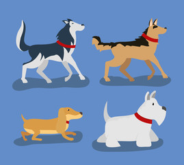 set dogs domestic animal pets