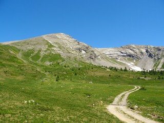 The Alps during a sunny summer day in Val Bognanco, near the town of Domodossola, Italy - June 2019.