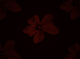 flower on black background