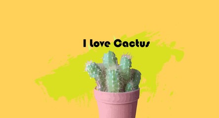 cactus on yellow background