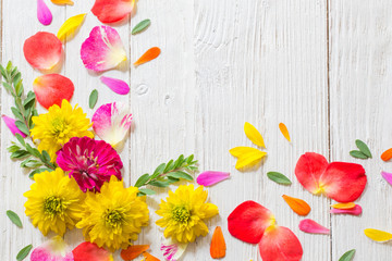 red and yellow summer flowers on white wooden background