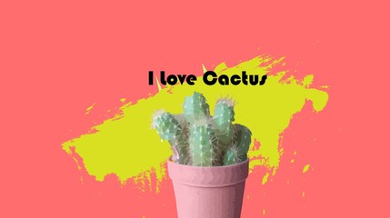cactus on pink background
