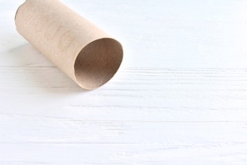 Cardboard sleeve from a roll of toilet paper with selective focus on neutral background. Out of toilet paper.  Recycled cardboard cylinder from toilet paper on white backdrop with empty space for text