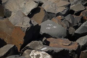 Rocks in an erosion defense