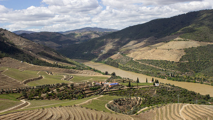 Landscape of the Alto Douro in northern Portugal, Viseu district. You can see in the picture the Douro meandering through the mountains full of fields of vines for the production of port wine. - obrazy, fototapety, plakaty