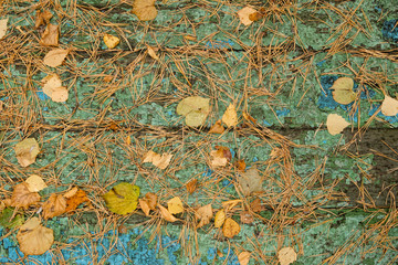Wooden autumn background of worn boards and autumn leaves with peeling paint