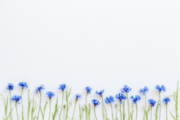 Summer design for blog with blue cornflowers on white background top view copyspace