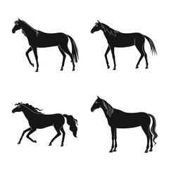 Vector design of fauna and mare symbol. Set of fauna and stallion vector icon for stock.