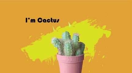cactus on orange background