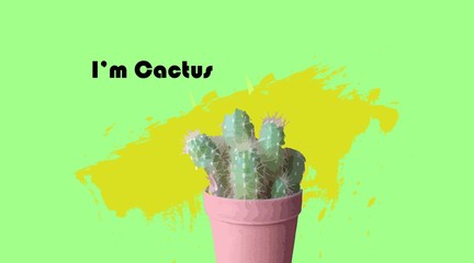 cactus on green background