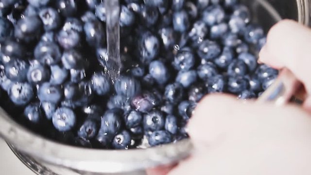 Frash blueberries. Healthy food concept.