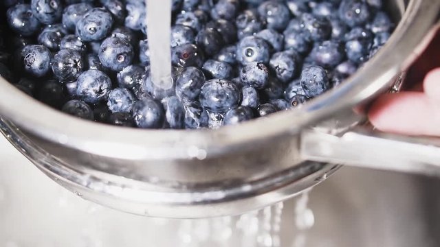 Frash blueberries. Healthy food concept.