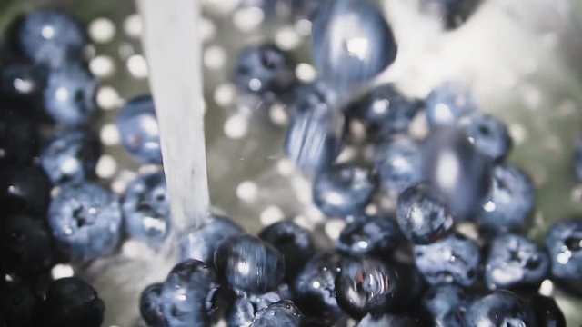 Frash blueberries. Healthy food concept.