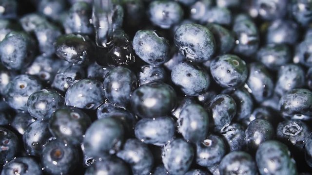 Frash blueberries. Healthy food concept.