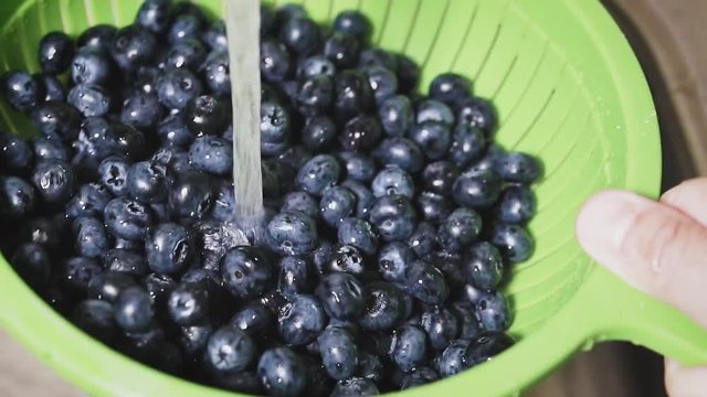 Frash blueberries. Healthy food concept.