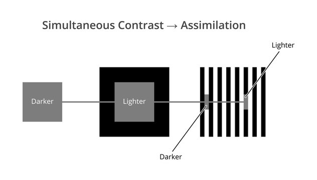 Vector icon of simultaneous contrast and assimilation isolated. Contrast effect background dependent. Lighter and darker gray square or line influenced by background. Phenomenon of human visual system