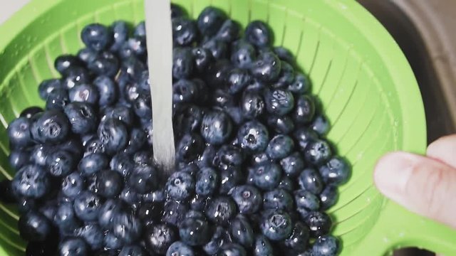 Frash blueberries. Healthy food concept.