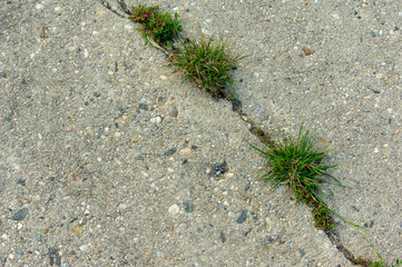 Closeup cracks in a concrete farm road in a rural area of Germany Europe