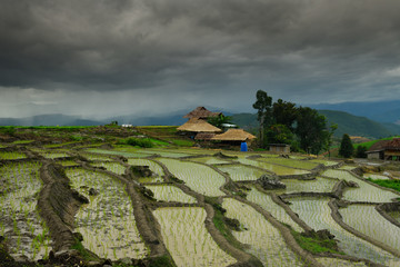 Beautiful scenery of rice terraces at Baan Pa Bong Pian. Rice terraces on high ground in Mae Chaem...
