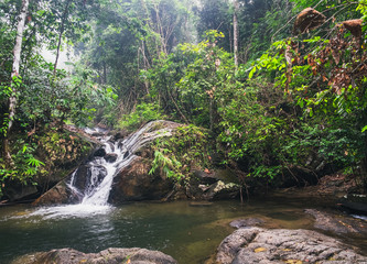Beautiful waterfall in deep forest at Khao Lak-Lam Ru National Park, Phang-nga, Thailand.