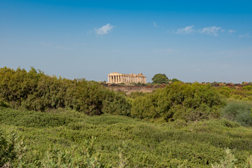 Fototapeta na wymiar Temple of Selinunte in Sicily