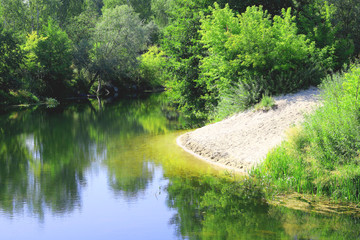 Fototapeta premium Beautiful sandy beach at bend of clear river among green trees and other green plants in summer in clear weather