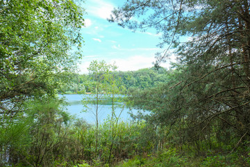 Fototapeta na wymiar A forest lake under a blue cloudy sky seen from between the trees and foliage of the forest