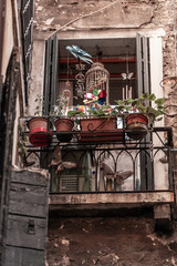 Venice, Italy, Street Canals and Tipical Buildings