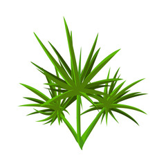 Isolated object of leaves and shrubbery icon. Collection of leaves and green vector icon for stock.