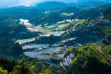 丸山千枚田