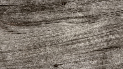 Obraz premium Old wood texture background closeup