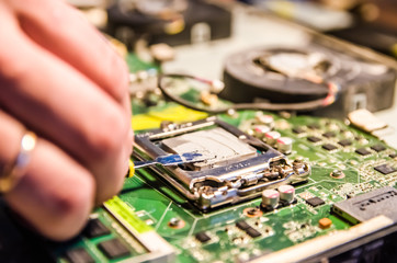 Technical support worker greases with thermal grease paste computer processor