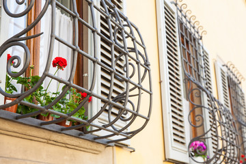 Beautiful windows and geranium flowers in Florence