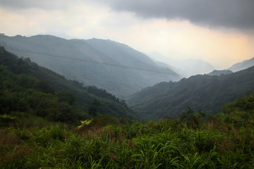 Fototapeta premium View of forest and mountain in national park in taiwan