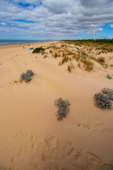 Dunes