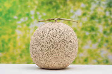 高級マスクメロン　Fresh high quality cantaloupe