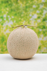 高級マスクメロン　Fresh high quality cantaloupe