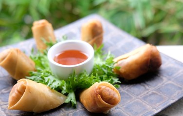 Deep fried spring rolls